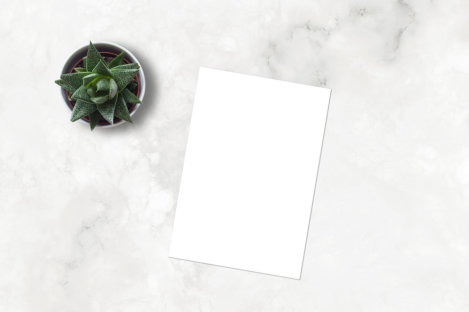 Alles, was Sie über ein Portfolio wissen müssen: Definition, Bedeutung und Tipps