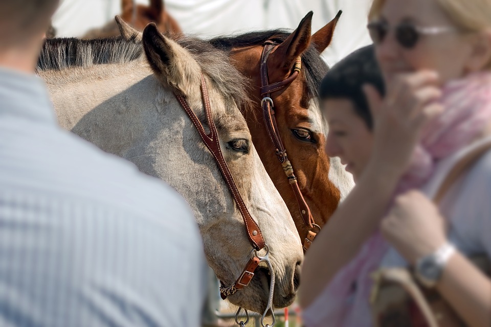 Versicherungsabschlüsse: Warum Ehrlichkeit wichtig ist - Tipps von einem Finanzexperten