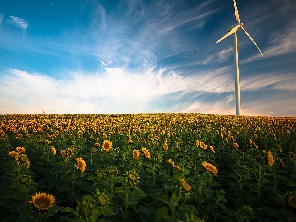 Energieagentur IEA prognostiziert grüneren Strommix bis 2030 mit knapp 50% erneuerbaren Energien