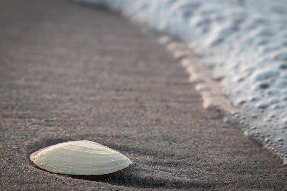 Embedded Insurance als Erfolgsmodell: Wie sich Zusatzversicherungen zum festen Bestandteil des Kundenerlebnisses entwickeln.