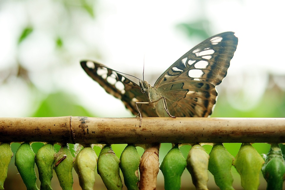 Epam Systems-Aktie schließt an US-amerikanischer Börse im Plus - Finanzexperte analysiert Entwicklung