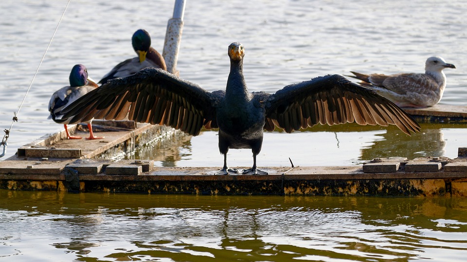 UniCredit-Aktie mit geringem Kursgewinn - Finanzexperten raten zu Überwachung