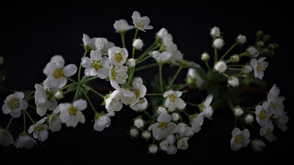 US-Notenbank bleibt bei Zinserhöhungen unverändert - Wie wirkt sich das auf den Aktienmarkt aus?