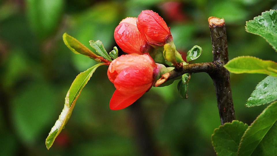 DAX zeigt sich freundlich nach US-Jobdaten - Finanzexperte analysiert Marktentwicklung