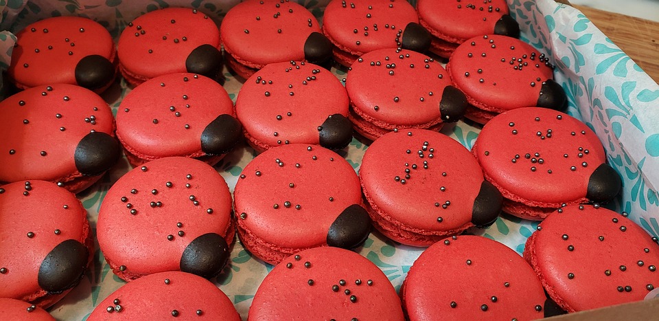 Finanzexperte: Macron verkündet Milliardeninvestitionen für Battery Valley