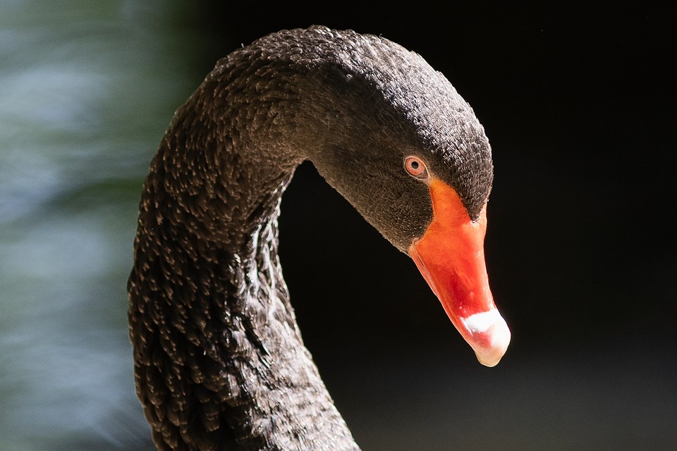 Schweiz: Probleme des Bankenplatzes mit internationaler Bedeutung - Blick auf die UBS und den Banken-Staaten-Nexus