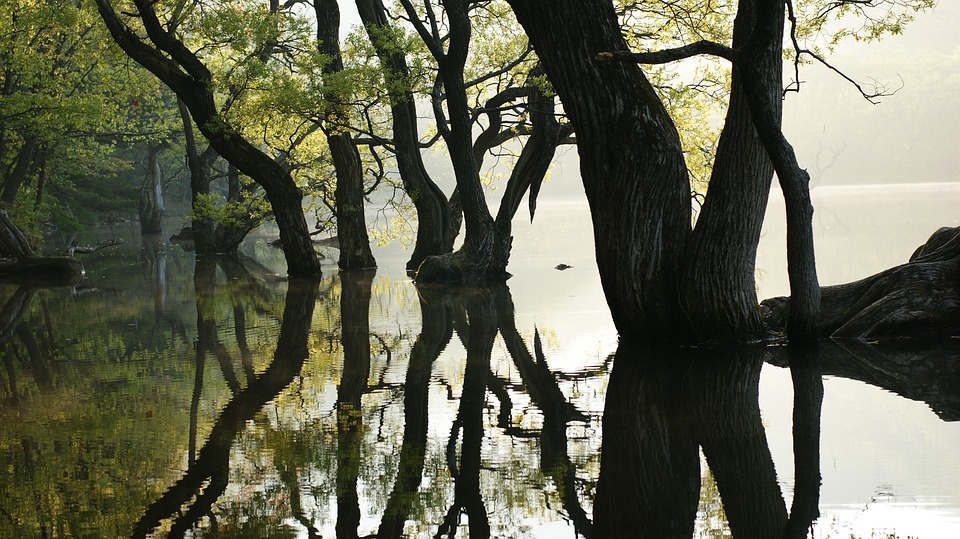 Die 5 wichtigsten Investmentstrategien für langfristigen Erfolg erklärt. Finanzexperten-Tipps für Anleger.