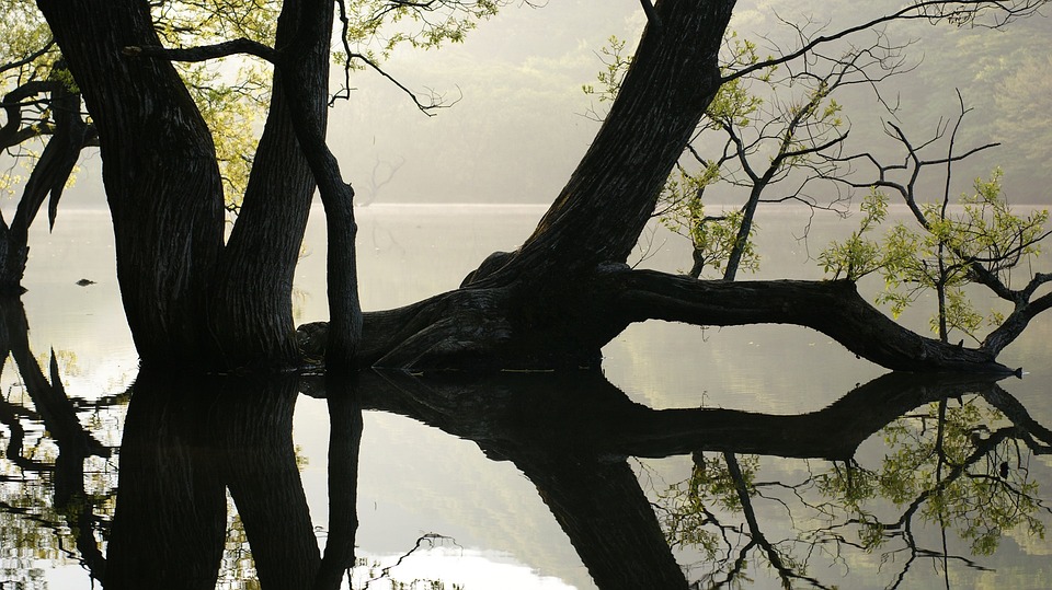 Risikolebensversicherung: Finanzexperte erklärt wichtige Details zur Absicherung von Immobilienkrediten.