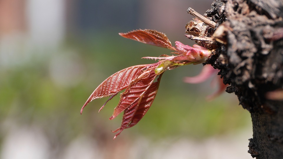 Dax schließt die Woche mit Verlust - Siemens-Energy-Aktien erholen sich
