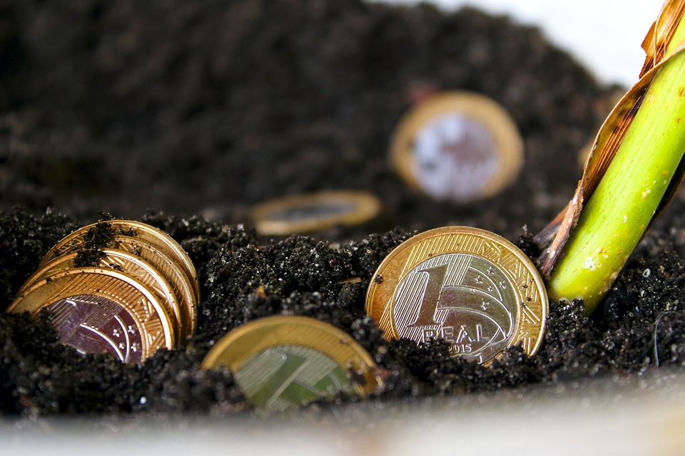 Finanzbildung: Warum sie so wichtig ist