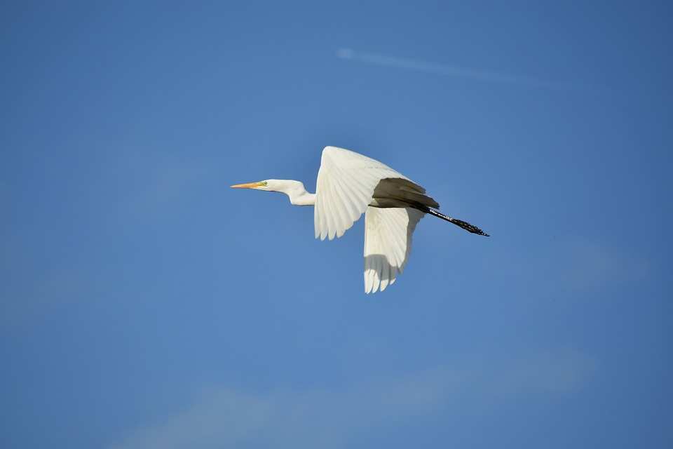 Morningstar identifiziert  ultragünstige  Aktien: PayPal interessant für langfristige Anleger mit Risikobereitschaft.