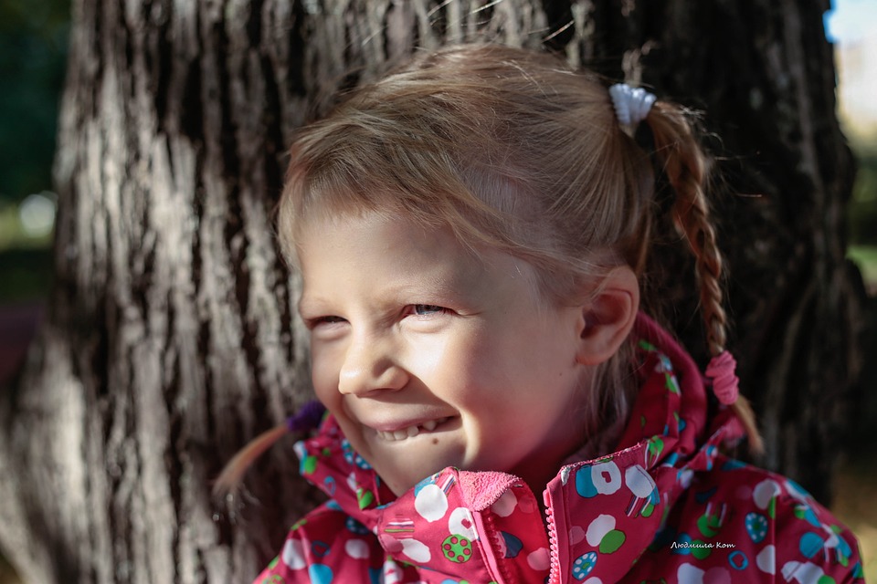 Wohnmobilversicherung: Wichtige Versicherungen für Wohnmobilbesitzer &amp; Tipps zum Abschluss - Kosten, Leistungen &amp; Bestimmungen