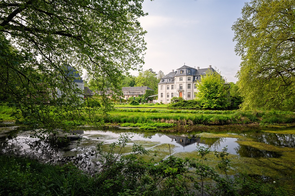 Finanzexperte: Warum der Verkaufspreis für Schloss Helmsdorf drastisch gefallen ist und was das für potenzielle Käufer bedeutet.