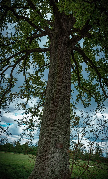 Wohnungsbau-Krise in Deutschland: Finanzexperte fordert dringend notwendige Reformen zur Lösung des Problems.