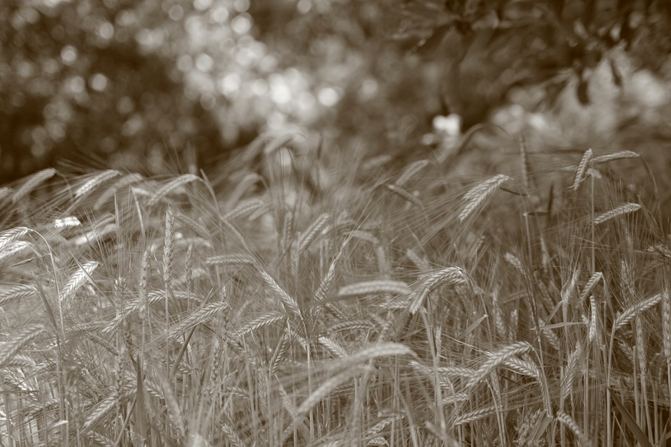 Rheinland-Pfalz: Teuerung hat sich deutlich abgeschwächt - Finanzexperte analysiert die Gründe