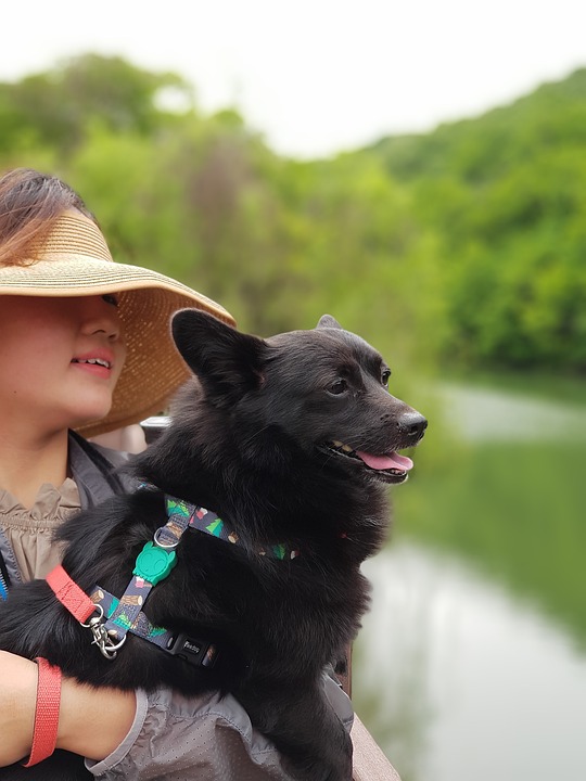 S&amp;P 500 Prognose 2024: Experten erwarten ein fast altes Allzeithoch, dann zweistelliger Absturz. Lesen Sie hier die genaue Prognose!