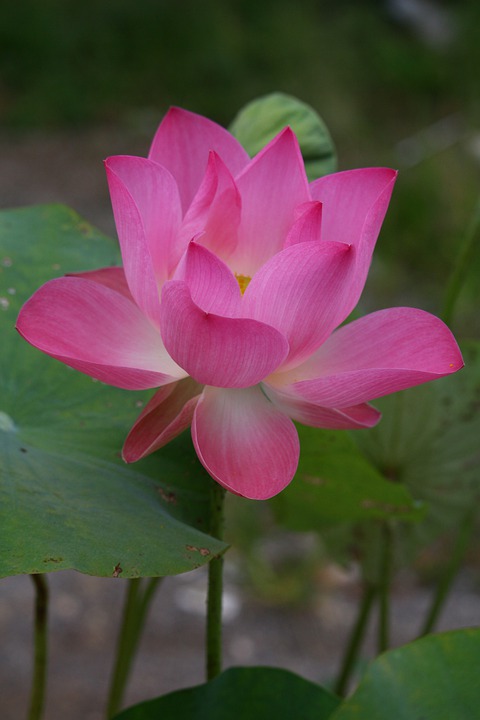 Leerstände im Thelottviertel: Was bedeutet das für die Immobilienlage in Augsburg?