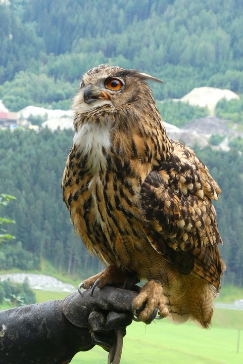 Finanzexperte prognostiziert: S&amp;P 500 erreicht 2024 neue Höchststände