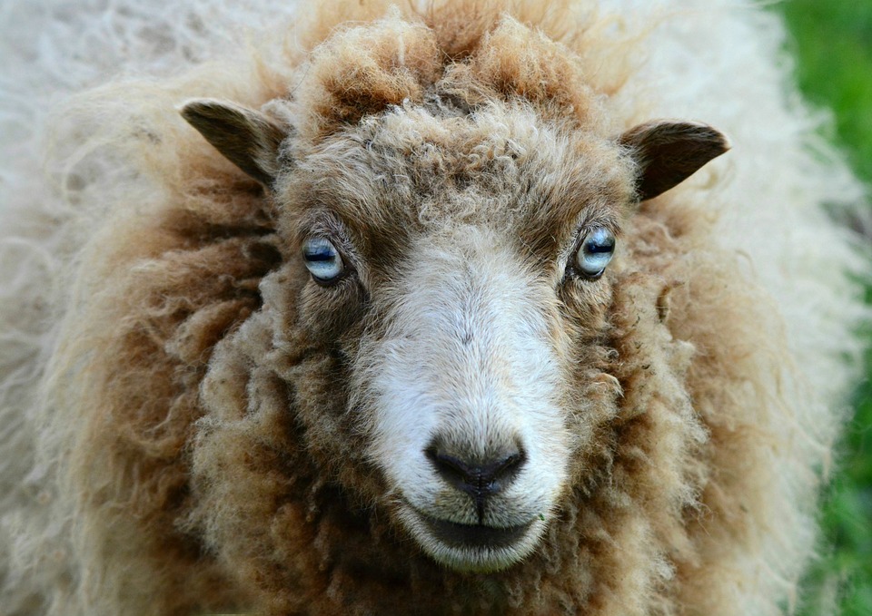 EWE wegen verspäteter Jahresabrechnungen verklagt: Finanzexperte analysiert Auswirkungen.