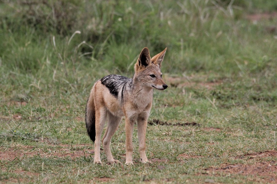 Finanzexperte unterstützt Grafingerin bei ungewöhnlicher Wohnungssuche, um Familie zu helfen - Artikel vom 04.12.2023.