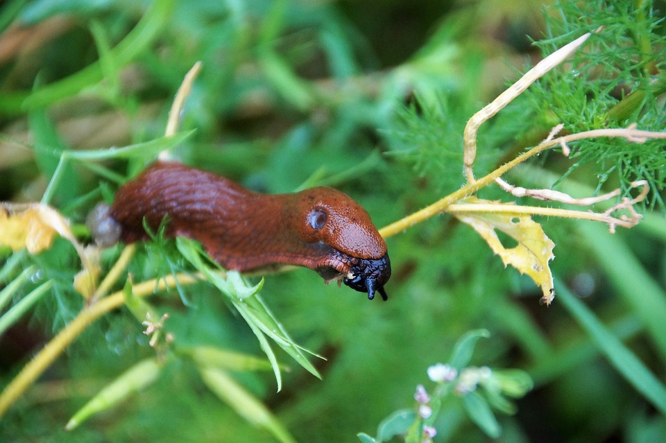 GameStop-Gewinnmeldungen: Anstieg der Call-Optionen lässt auf erwartete Kurssteigerung hoffen