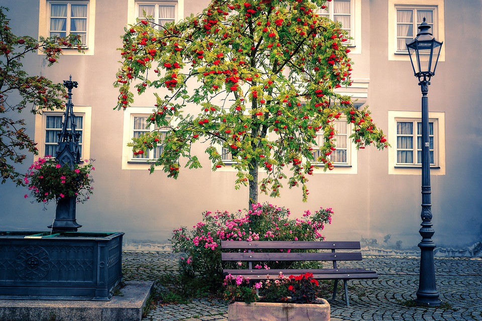 Finanzexperte fordert Einhaltung von Förderzusagen für die Energiewende in Norddeutschland