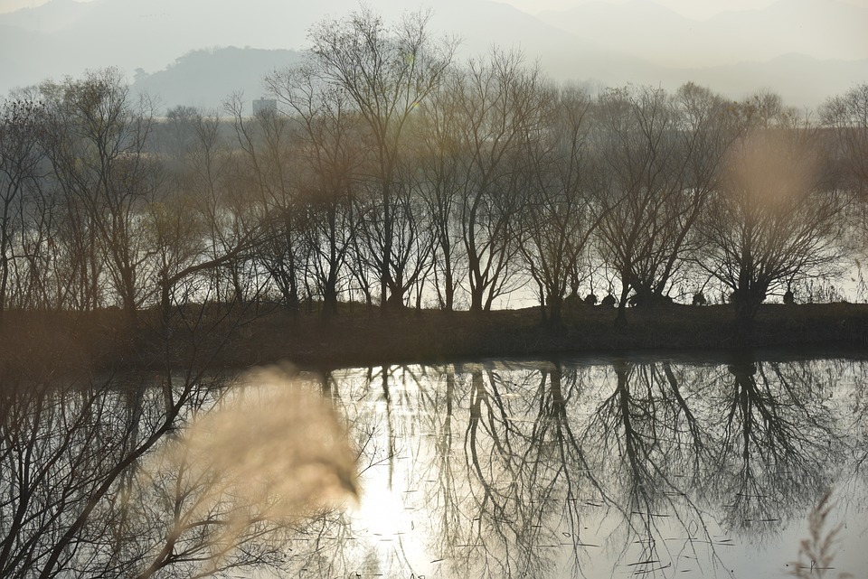 Die wichtigsten Regeln für das Arbeiten im Homeoffice in Deutschland
