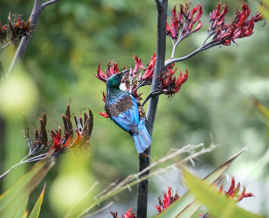 Expertentalk: TUI und Knaus Tabbert im Fokus - Finanzexperten-Ratgeber
