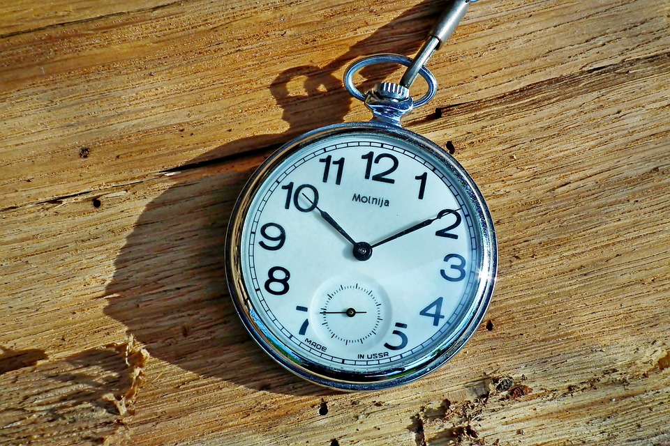 Tipps zur Versicherung von E-Autos: Was Fuhrparks beachten müssen