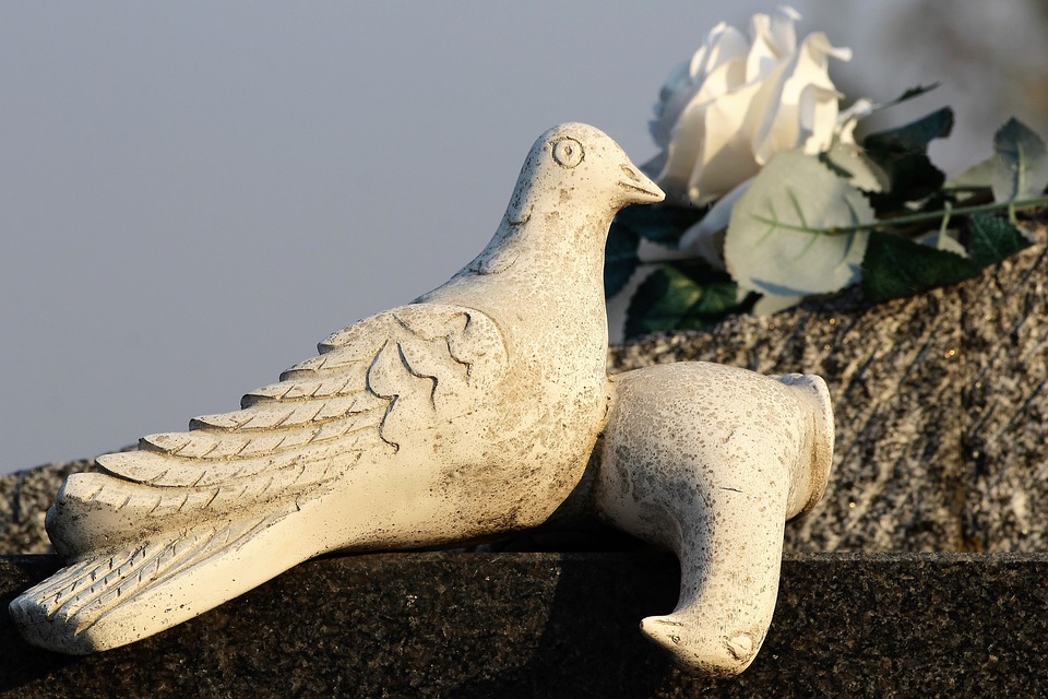 Dow Jones Industrial erstmals über 37.300 Punkten - Rekordrallye setzt sich fort