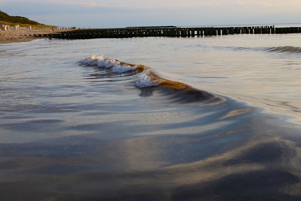 Umbruch in der Landwirtschaft: Finanzexperte warnt vor existenzgefährdenden Veränderungen