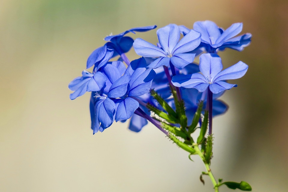 Die 4 häufigsten Solaranlagen-Mythen entkräftet: Experten klären auf