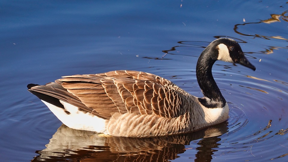 Alster-Villa in Winterhude: Finanzexperte sieht neue Pläne nach 17 Jahren Leerstand