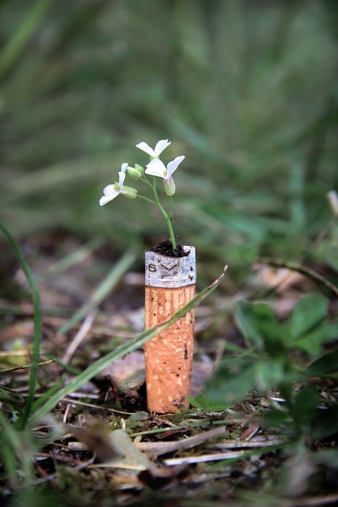 Bedeutung des Bitcoin-Spot-ETF-Launchs und Ausblick auf mögliche weitere Krypto-ETFs für Finanzexperten