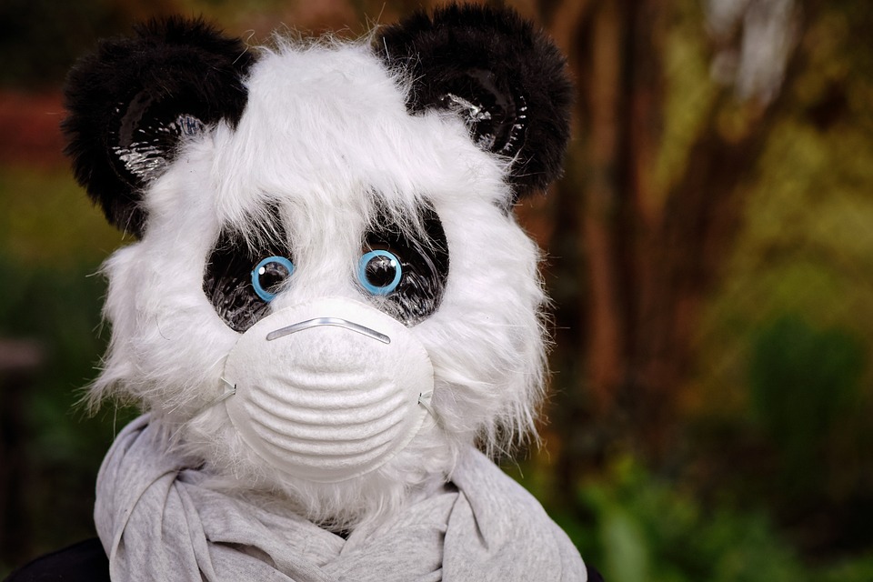 Vorsicht vor betrügerischen E-Mails: So erkennen Finanzexperten Phishing-Versuche