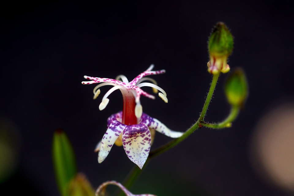 Wie hilft die Verbraucherzentrale bei rechtlichen Problemen in Oggersheim?
