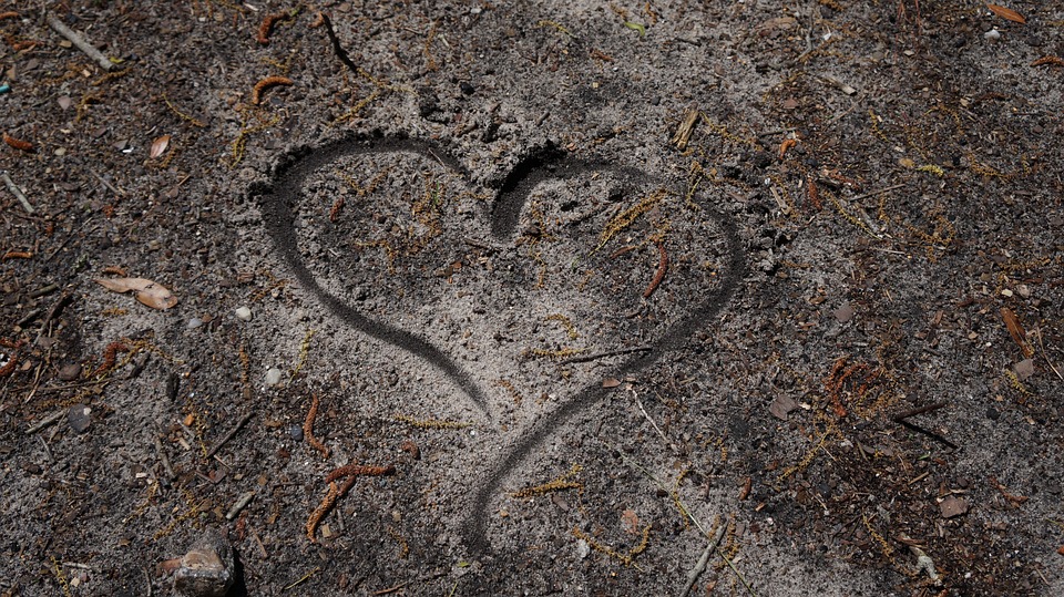 Wohin steuert Sachsens Wirtschaft? Gute Perspektiven für Experten