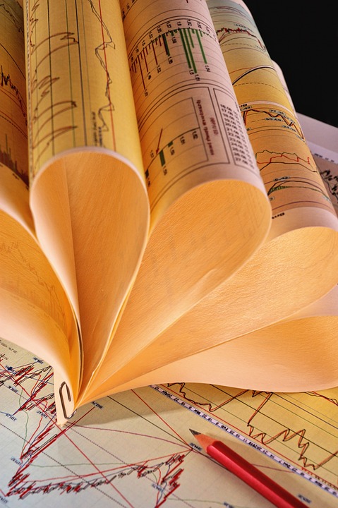 Analyse: Cardano-Wal-Transaktionen steigen, trotz allgemeiner Marktabschwächung