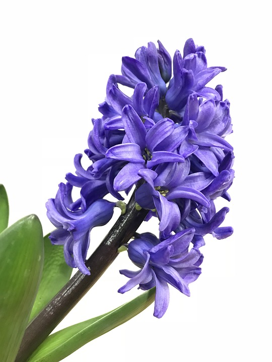 Brookfield Renewable: Zukunftsaktie mit KGV unter 10 und 15% Kurspotenzial