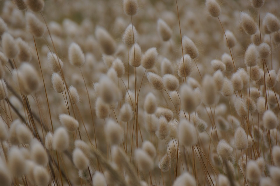 Immobilienexperte gibt Tipps bei Schimmel in der Wohnung - so schützen Sie Ihre Immobilie vor Feuchtigkeit und Schimmelbildung in Hamburg!