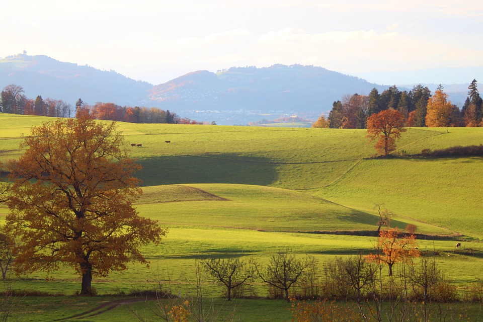 Finanzexperte sieht großes Potenzial in historischem Immobilienensemble