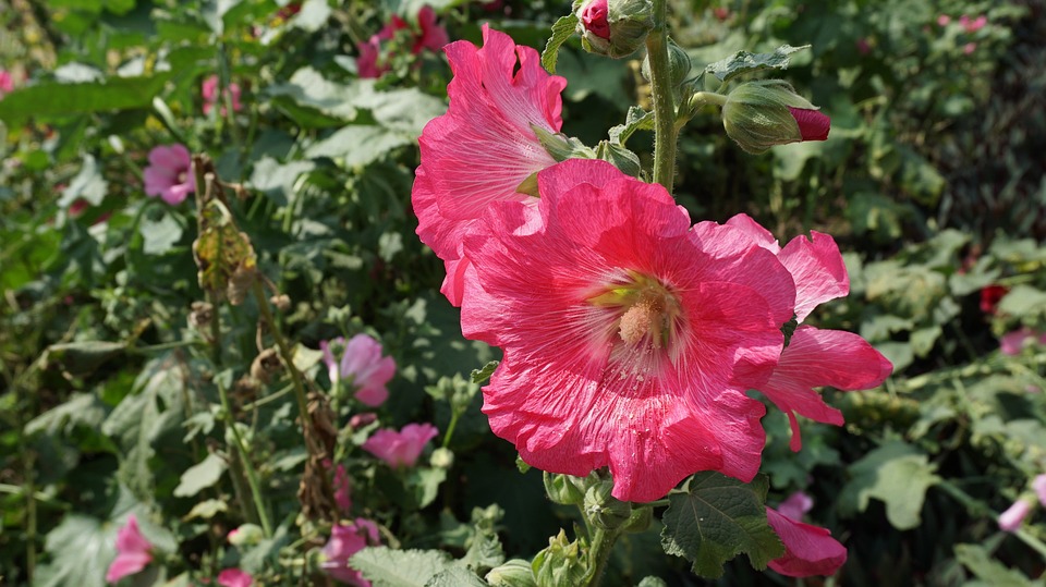Finanzexperte Gerd Buurmann gibt Ausblick auf 2024 mit Wirtschaftsexpertin Annette Heinisch und Rechtswissenschaftler Ulrich Vosgerau.