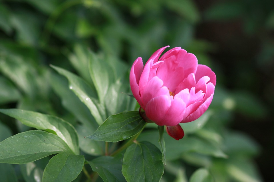 Finanzexperte warnt: Nel Asa erhält harte Bewertung und sinkt auf Rekordtief - Experten sehen wenig Hoffnung auf Aufwärtstrend.