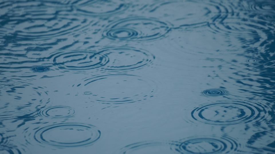 Zwangsversteigerungen im Kreis Gütersloh: Was müssen Käufer wissen?