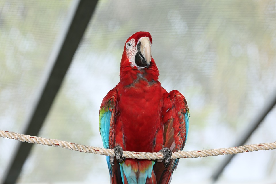 Finanzexperte warnt: Handwerksleistungen werden teurer und Bedingungen für Betriebe in Deutschland verschlechtern sich