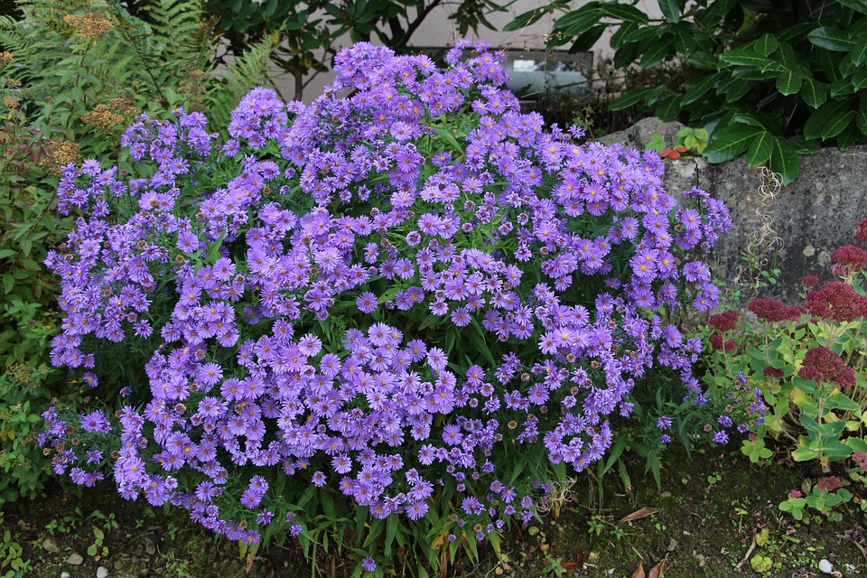 Kritik an Liebscher und Bracht: Schmerzexperten ohne medizinische Ausbildung?