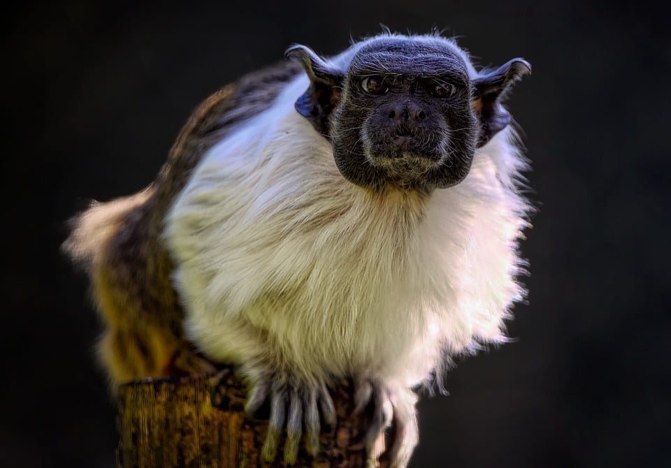 Alles, was Sie über den neuen Mietspiegel für Lünen und die Bestimmung von Mietpreisen wissen müssen