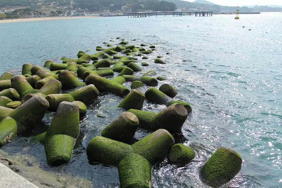 Finanzexperte: Aktuelle Entwicklungen am deutschen Aktienmarkt und Auswirkungen auf EuroStoxx und US-Börsen