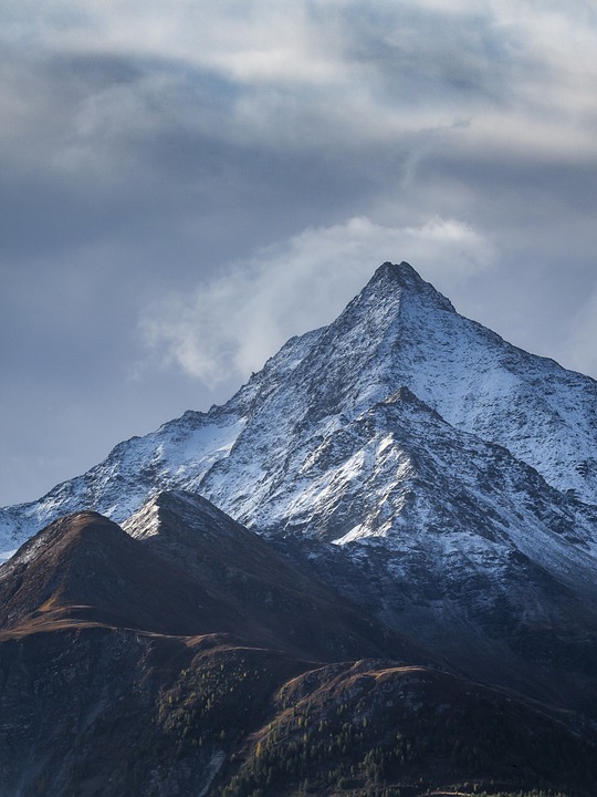 Bitcoin-Kurs nach Einführung von Spot-ETFs im Sinkflug: Krypto-Wale als Spielverderber?