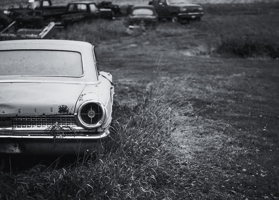 Versicherungstipp | Marderschaden am Auto: Schutz und Versicherung durch Expertenrat